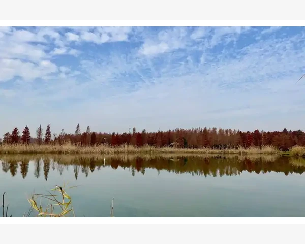 中年人腰痛吃什么好？中医师来解读，帮你寻找良方！