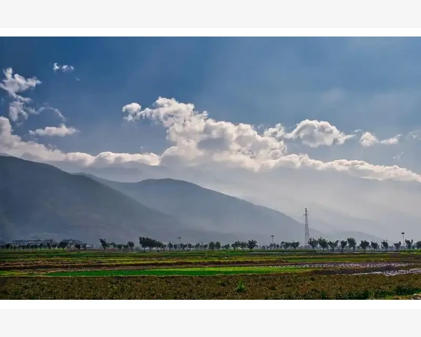 中年人立冬养生三法，健康过冬从现在开始！