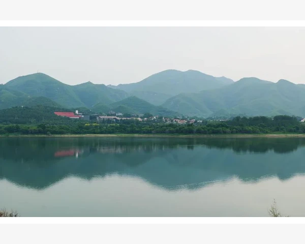 失眠怎么办？中药是个好选择
